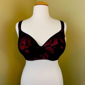 NWT 42DDD Cacique  Hot Pink & Black Balconette Bra